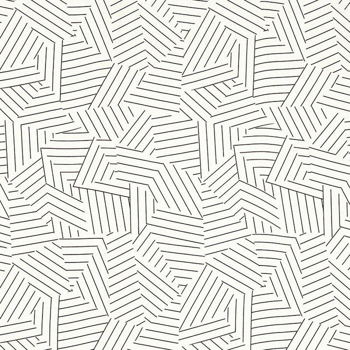 Schumacher Deconstructed Stripe Black Fabric 176050