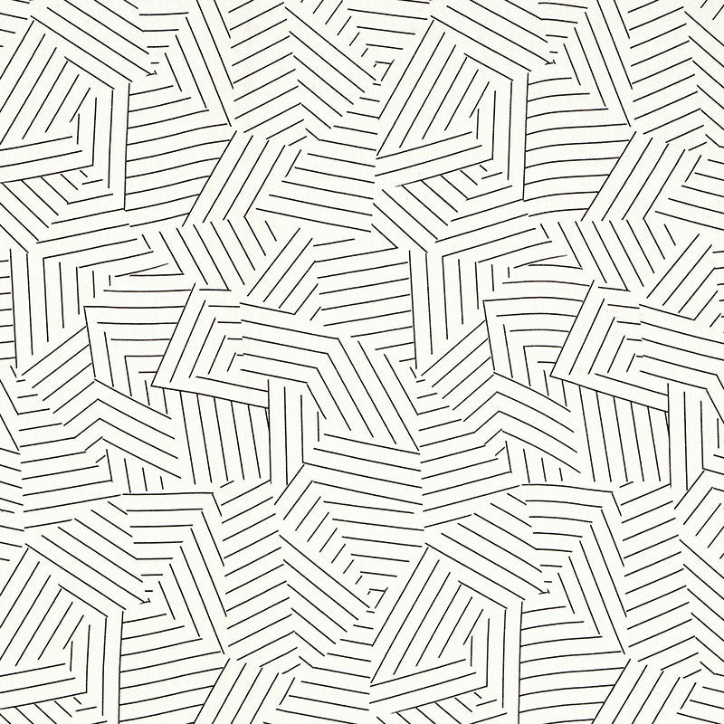 Schumacher Deconstructed Stripe Black Fabric Sample 176050