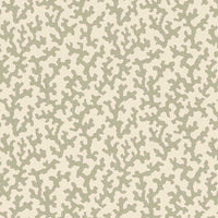 Schumacher Folly Sage Fabric 176123