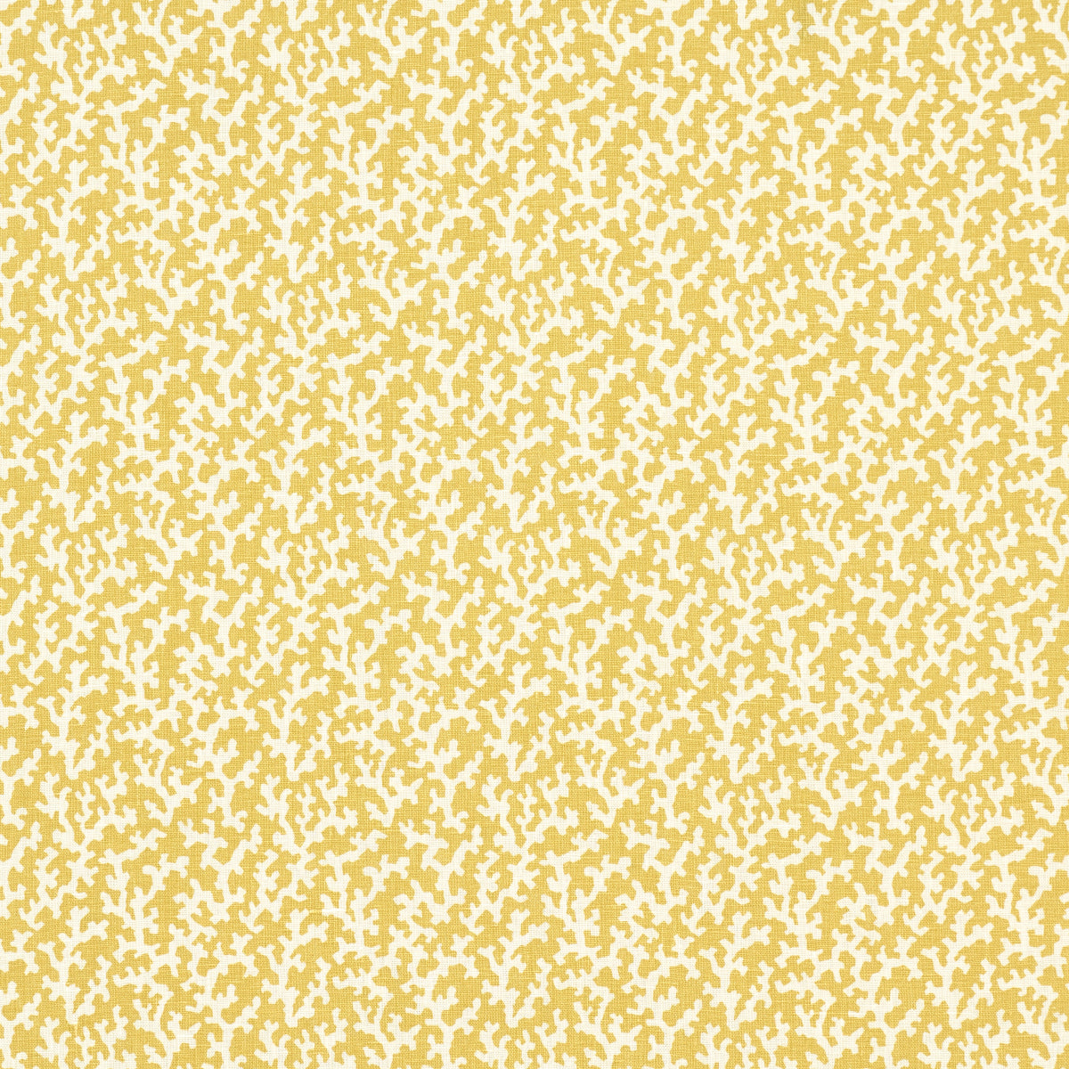Schumacher Folly Mimosa Fabric Sample 176128