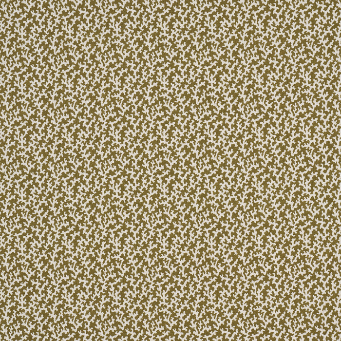 Schumacher Folly Olive Fabric 176129