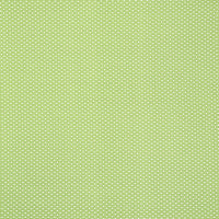 Schumacher Queen B II Indoor/Outdoor Green Fabric 176560