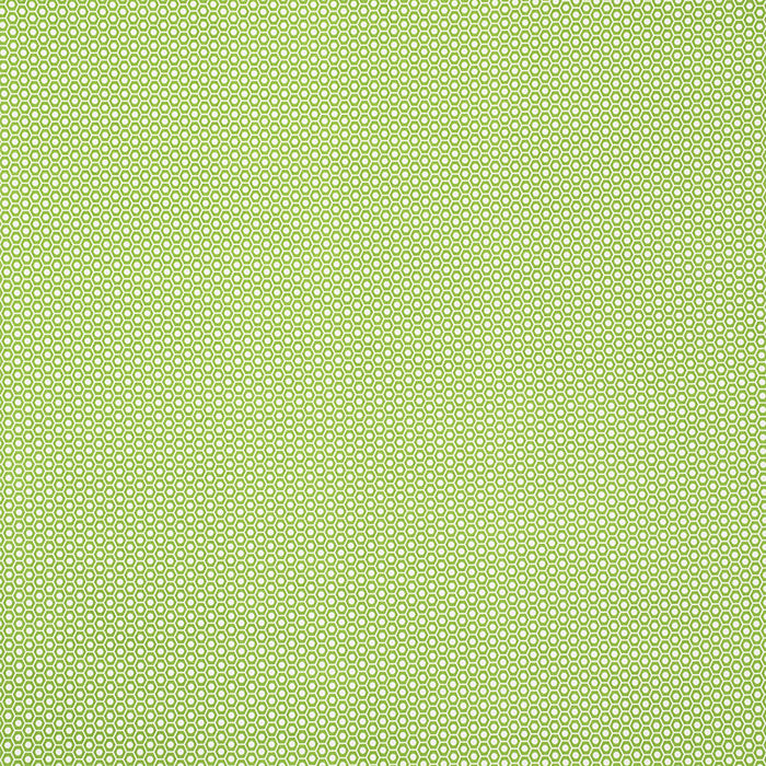 Schumacher Queen B II Indoor/Outdoor Green Fabric 176560