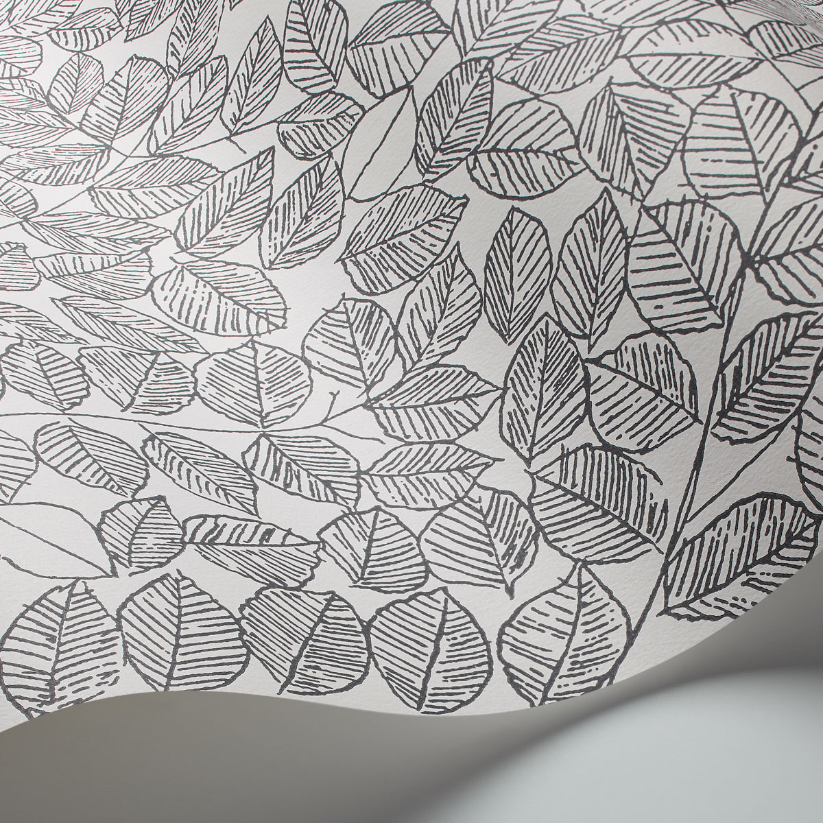 Schumacher Romans Black Wallpaper Sample 1766