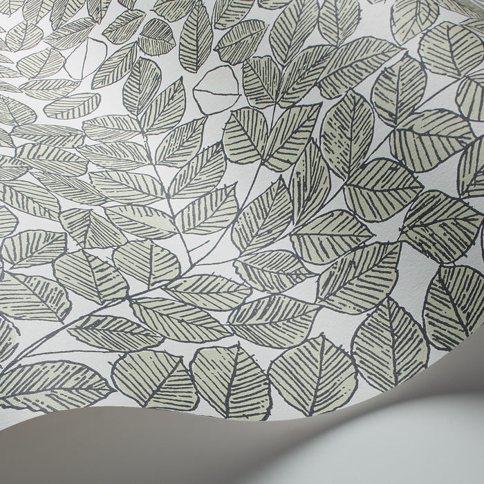 Schumacher Romans Leaf Wallpaper Sample 1769