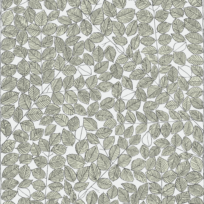 Schumacher Romans Leaf Wallpaper Sample 1769