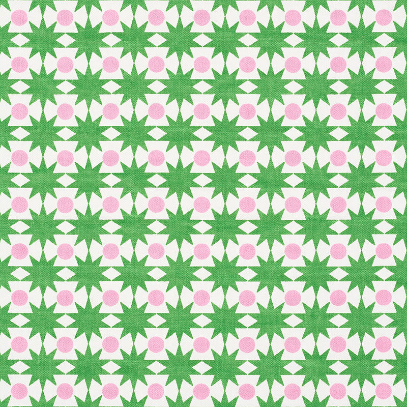 Schumacher Cosmos Watermelon Fabric 177061