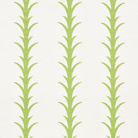 Schumacher Acanthus Stripe Leaf Fabric 177631
