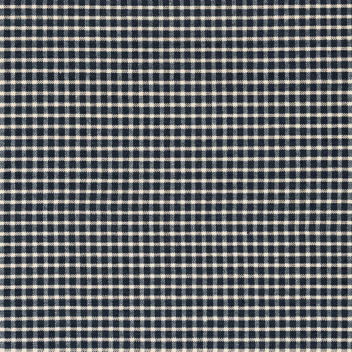 Ralph Lauren Pitch Pine Check Blue Fabric FRL5398-02