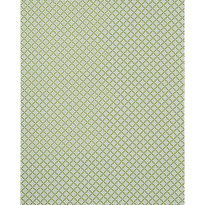 Schumacher Serendipity Green Fabric 177961