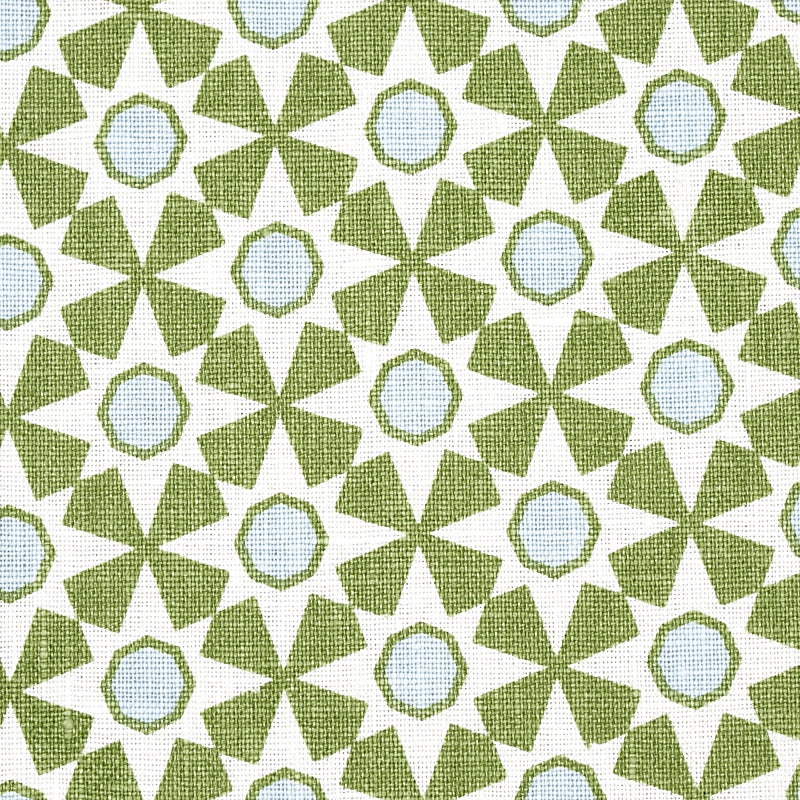 Schumacher Serendipity Green Fabric Sample 177961