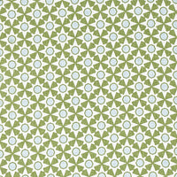 Schumacher Serendipity Green Fabric 177961