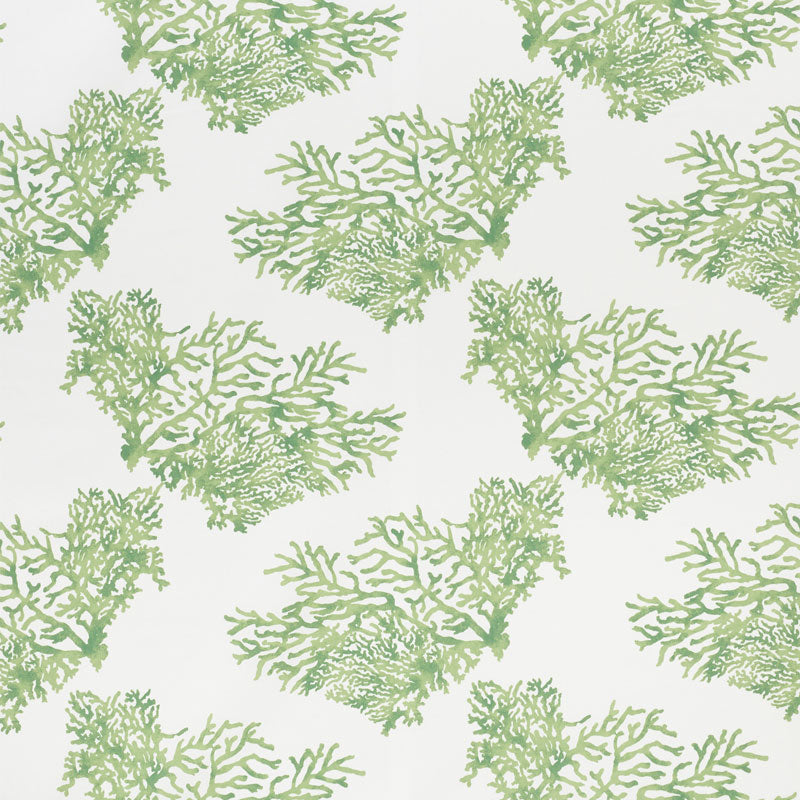 Schumacher Great Barrier Reef II Green Fabric 178291