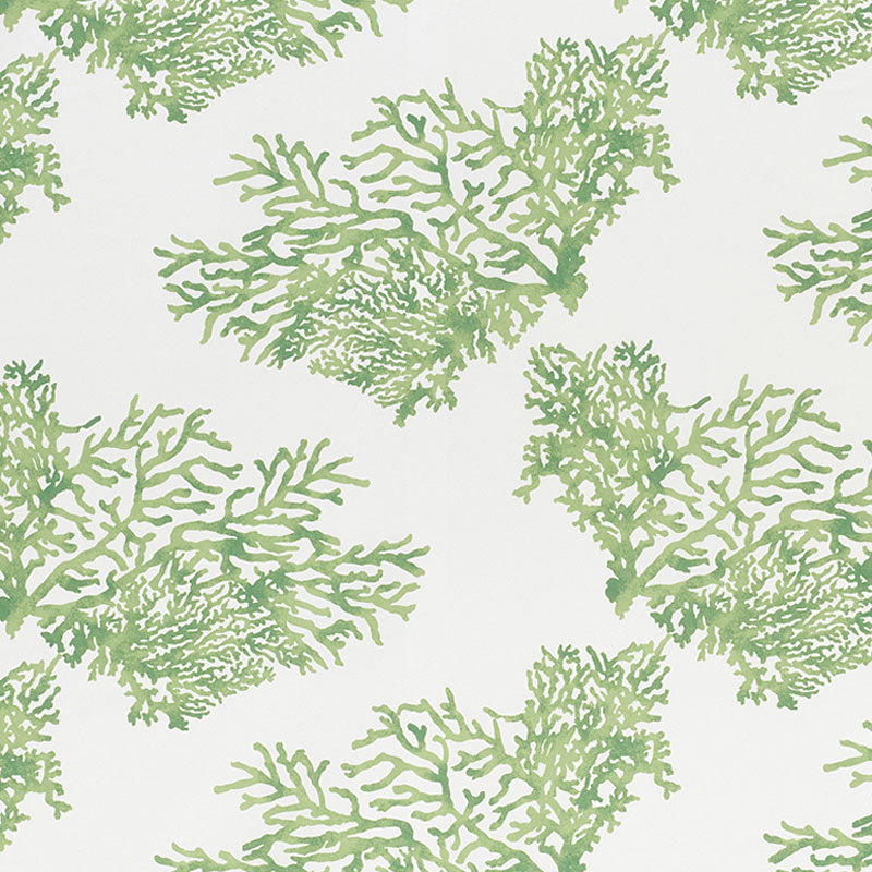 Schumacher Great Barrier Reef II Green Fabric 178291