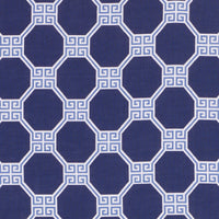 Schumacher Octavia Blue Fabric 179020