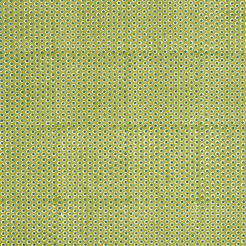 Schumacher Tuk Tuk Hand Block Print Green Fabric Sample 179223