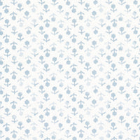 Schumacher Beatriz Handprint Sky Fabric 179353