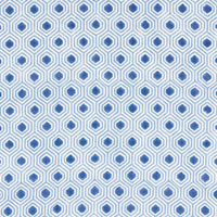 Schumacher Otis Hand Print Blue Fabric 180370