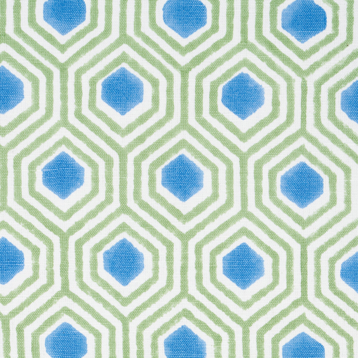 Schumacher Otis Hand Print Green & Blue Fabric 180371