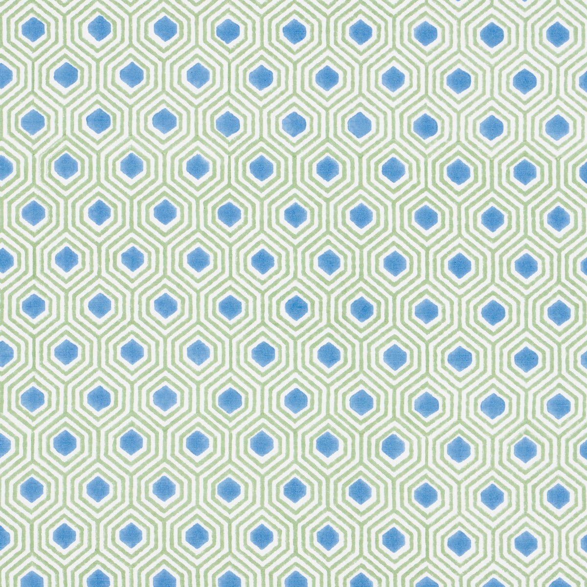 Schumacher Otis Hand Print Green & Blue Fabric 180371