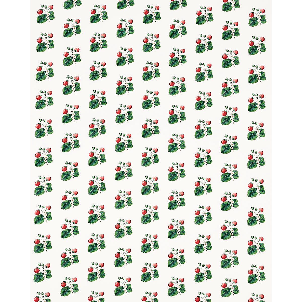 Schumacher Strawberry Hill White Fabric Sample 180640