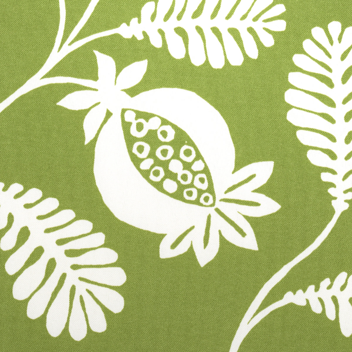 Schumacher Lanzadera Vine Indoor/Outdoor Honeydew Fabric 180991