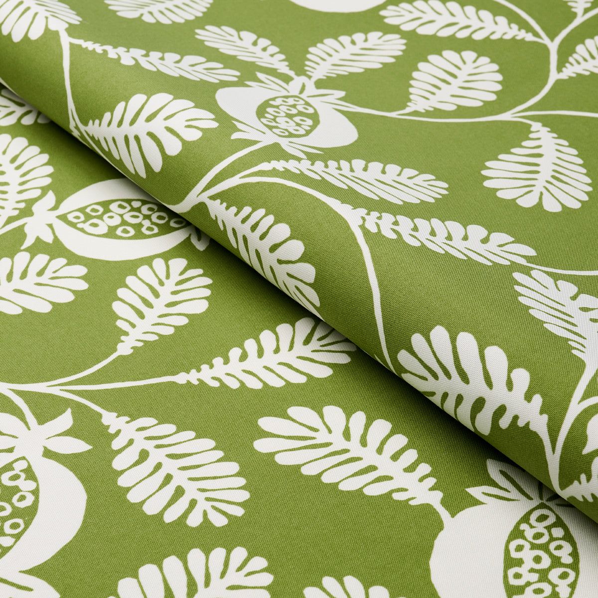 Schumacher Lanzadera Vine Indoor/Outdoor Honeydew Fabric 180991