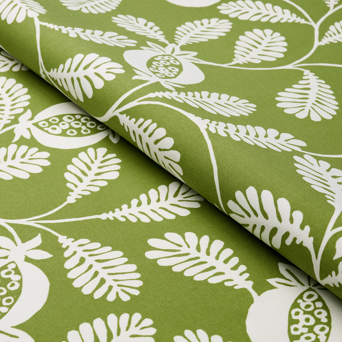 Schumacher Lanzadera Vine Indoor/Outdoor Honeydew Fabric 180991