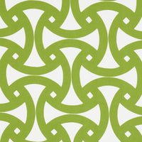 Schumacher Santorini Print Indoor/Outdoor Fern Fabric 181081
