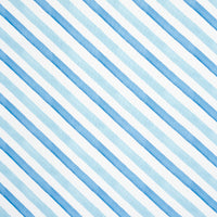 Schumacher Seaside Stripe Indoor/Outdoor Ocean Fabric 181262