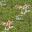 Schumacher Margaret Schloeman's Fox Chase Forest Fabric 182340