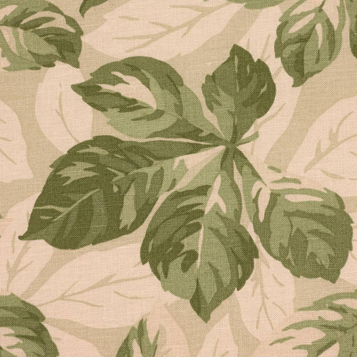 Schumacher Arboreal Sage Fabric Sample 182650