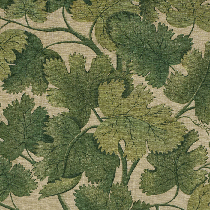 Schumacher Edinburgh Vine Moss Fabric Sample 182790