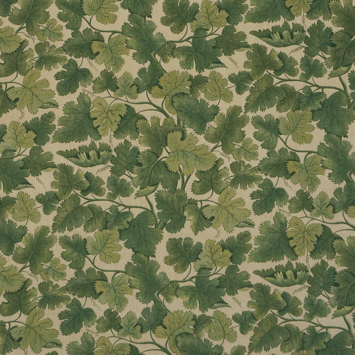 Schumacher Edinburgh Vine Moss Fabric Sample 182790
