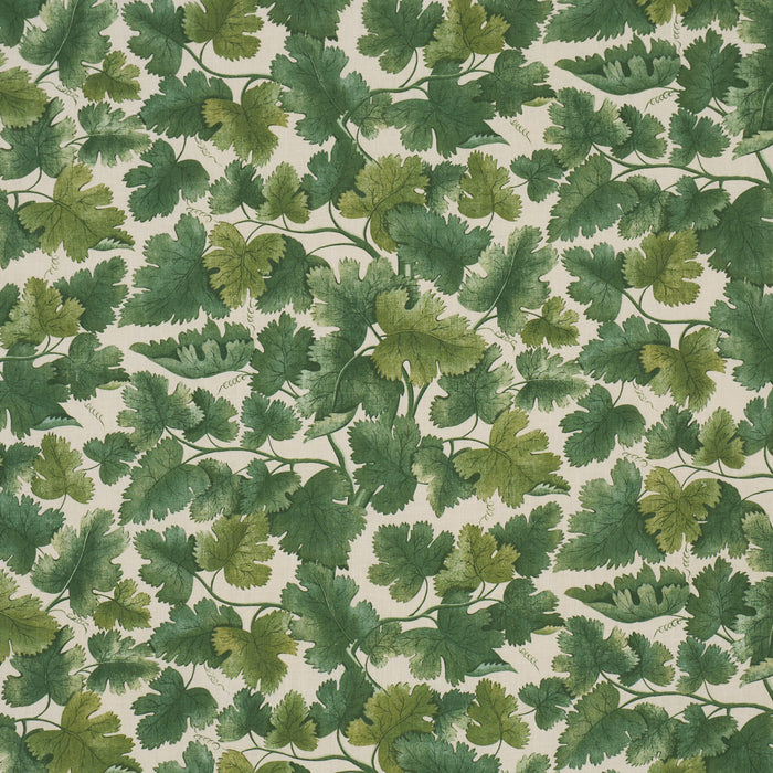 Schumacher Edinburgh Vine Forest Fabric 182791