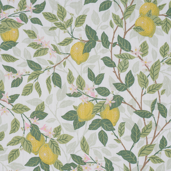 Schumacher Citrontrad Ivory And Leaf Fabric 182950