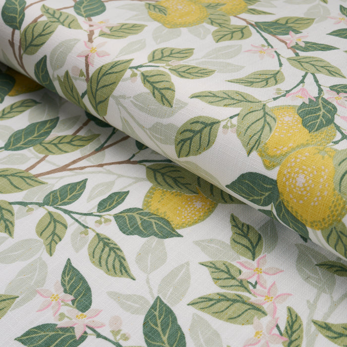 Schumacher Citrontrad Ivory And Leaf Fabric 182950