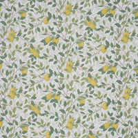 Schumacher Citrontrad Ivory And Leaf Fabric 182950
