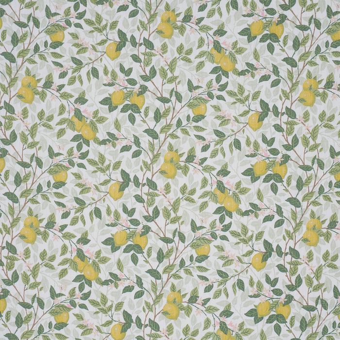Schumacher Citrontrad Ivory And Leaf Fabric 182950