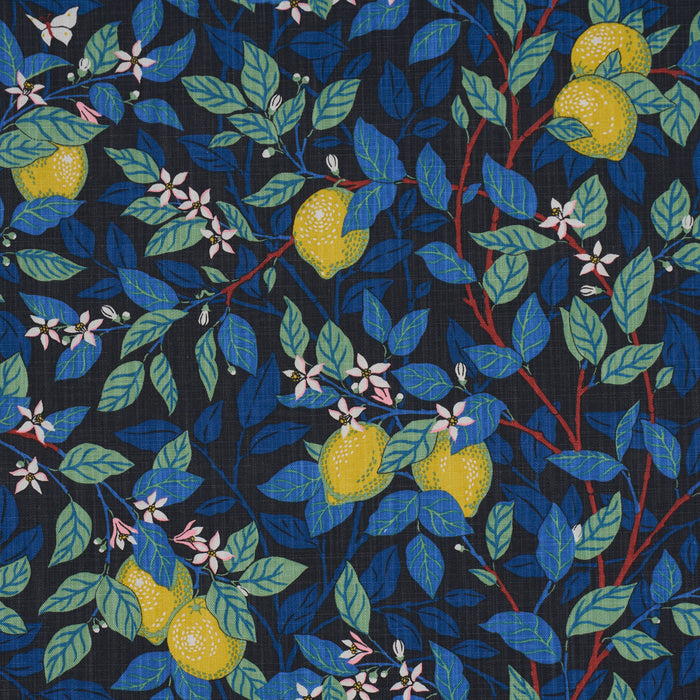 Schumacher Citrontr√Ñd Spruce And Blue Fabric Sample 182952