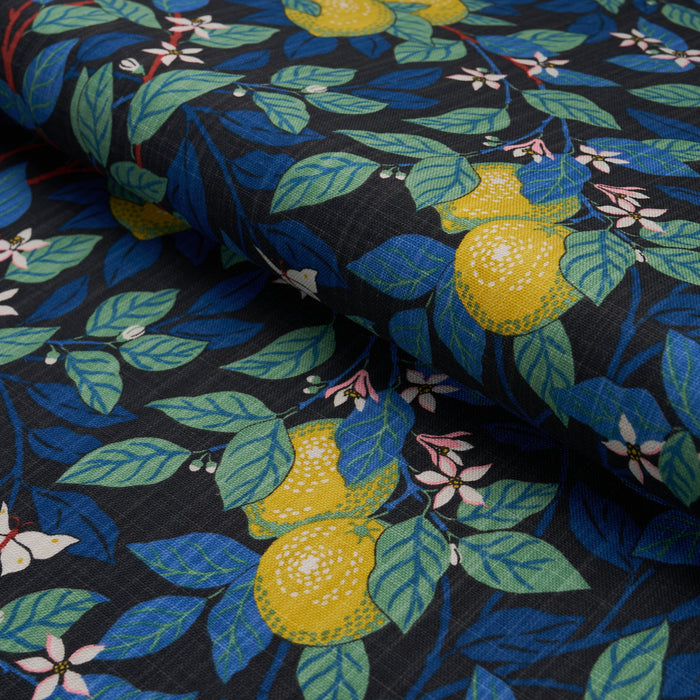 Schumacher Citrontrad Spruce And Blue Fabric 182952