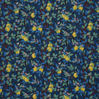 Schumacher Citrontrad Spruce And Blue Fabric 182952