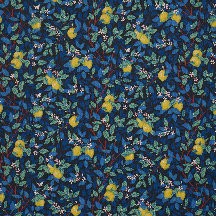 Schumacher Citrontrad Spruce And Blue Fabric 182952
