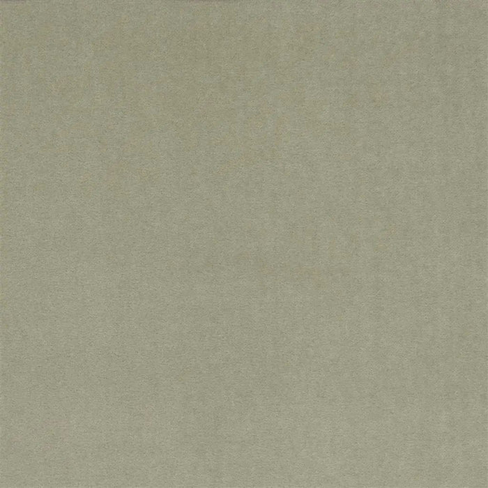 Royal Collection Royal Velvet 1 Sample Sample FRC2174-01