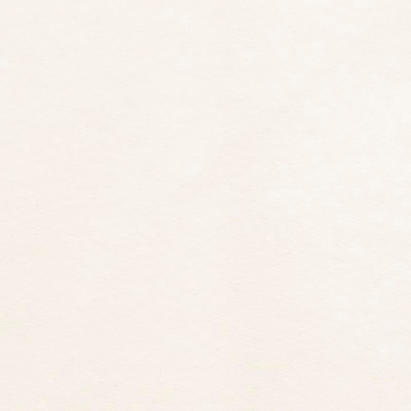 Holly Hunt Great Plains Enlightenment White Fabric Sample 1971/01