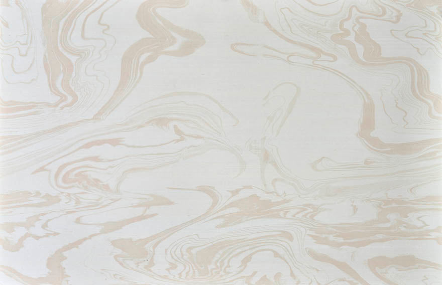 Pierre Frey Tyler Chantilly Wallpaper Sample FP024001