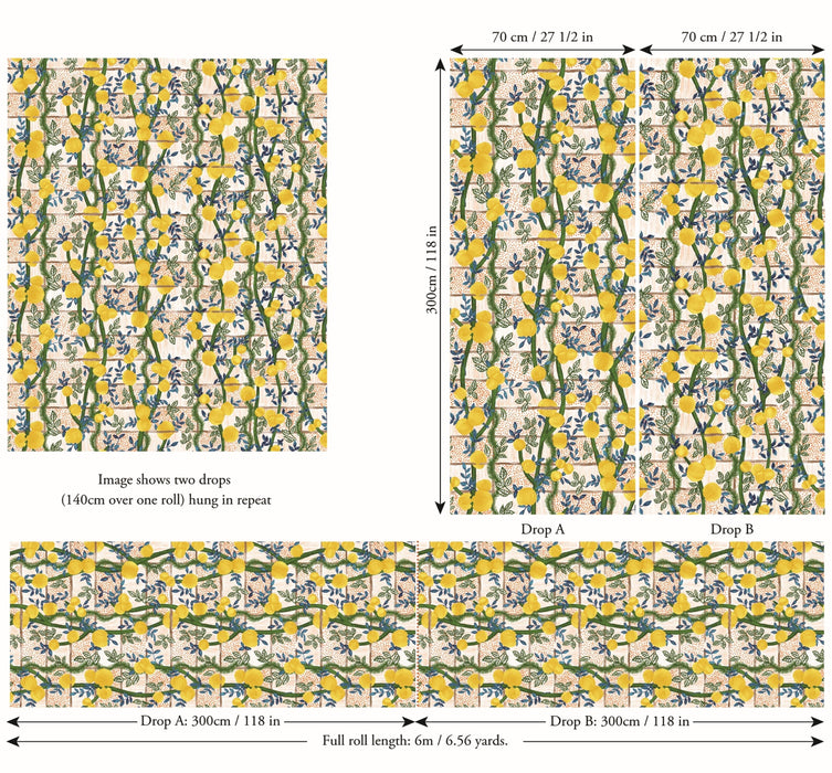 Jim Thompson Garden Party  (Sisalgrasscloth) Fruit Punch Wallpaper JT021076001