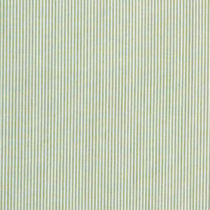 Lee Jofa Captiva Ticking Green Fabric Sample 2012178.23.0
