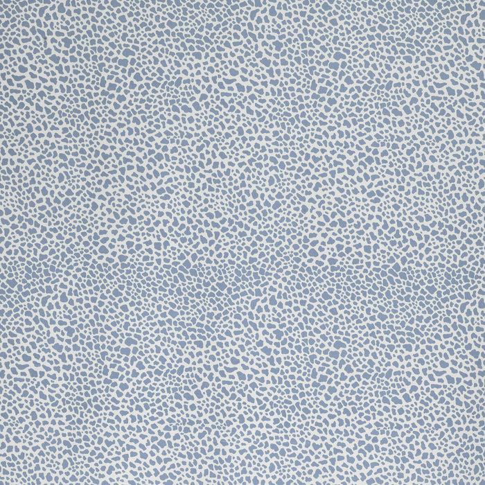 Lee Jofa Safari Cotton Sky Fabric Sample 2020164.15.0