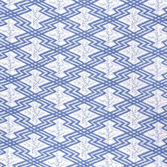Lee Jofa Via Krupp Blue/White Fabric Sample 2020168.5.0